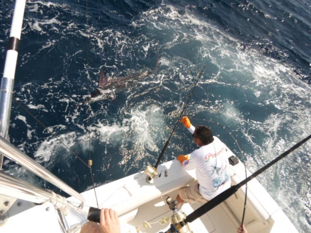 En plena pesca